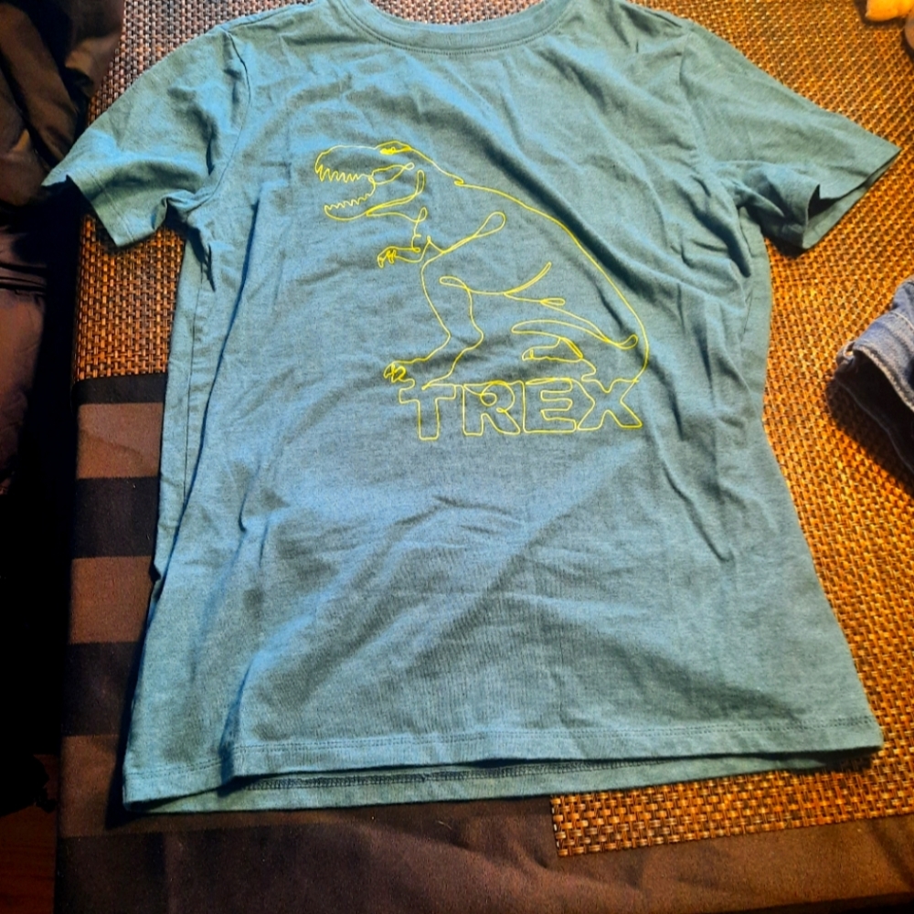 T-rex tee shirt